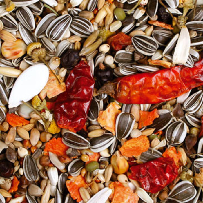 JR FARM Individual Grijze roodstaartpapegaaien