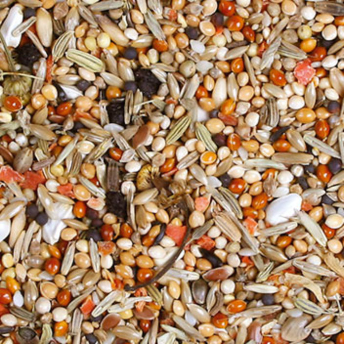 JR FARM Individual Valkparkieten