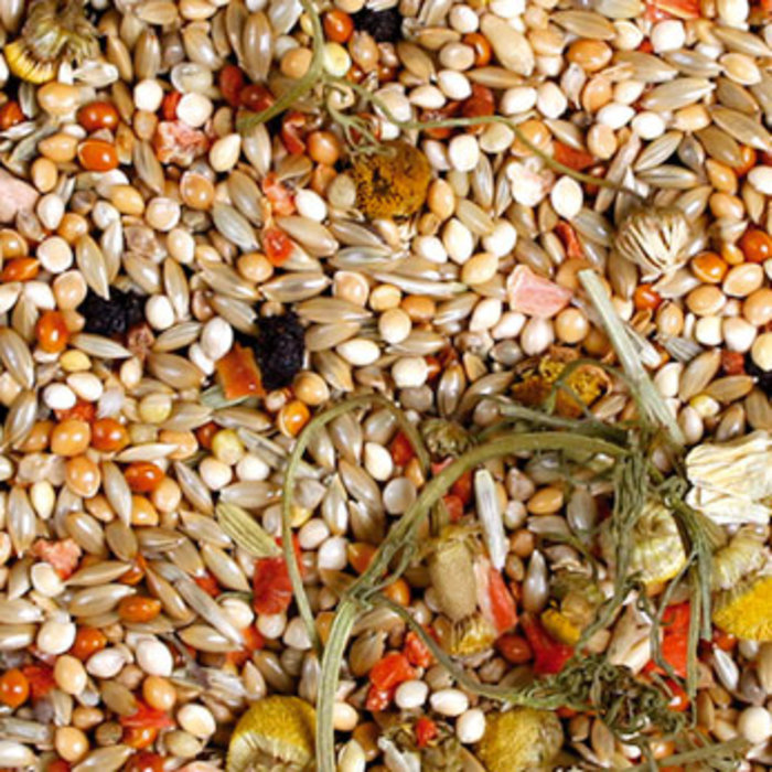 JR FARM Individual Parkiet