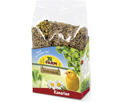 JR FARM Individual Kanarie