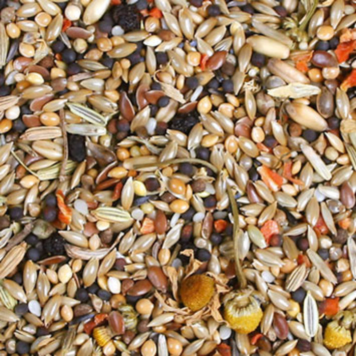 JR FARM Individual Kanarie