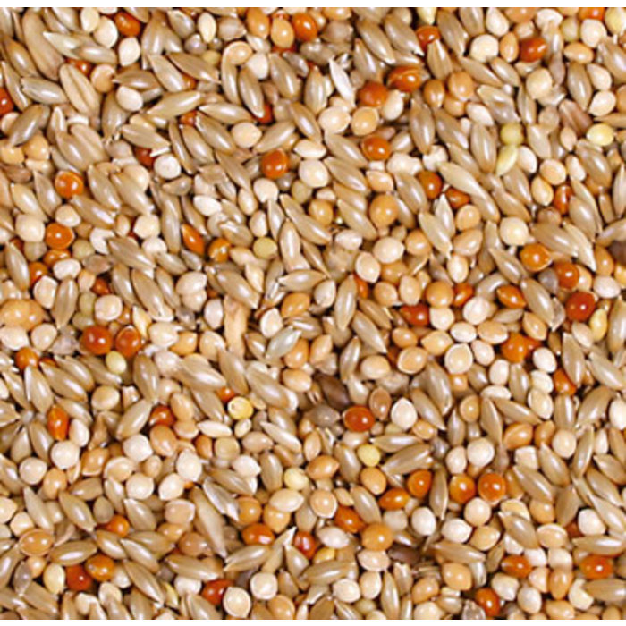 JR FARM Parkieten Schmaus