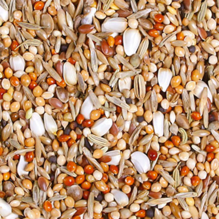 JR FARM Grote parkieten Schmaus