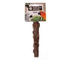 Back Zoo Nature Pepper Wood Perch