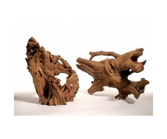 Huismerk Mangrove wortel