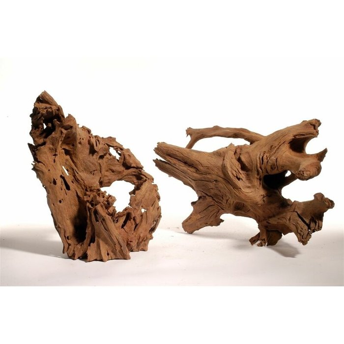 Huismerk Mangrove wortel