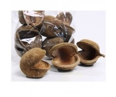 Back Zoo Nature Boeddha Noot XL Naturel