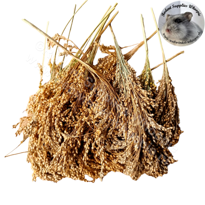 Whoopie Zilvergierst