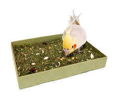 JR FARM Pick weide 600 gram