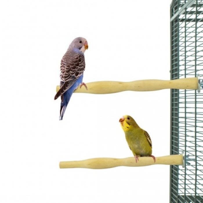 Back Zoo Nature Wood Perch Duo (2 stuks)