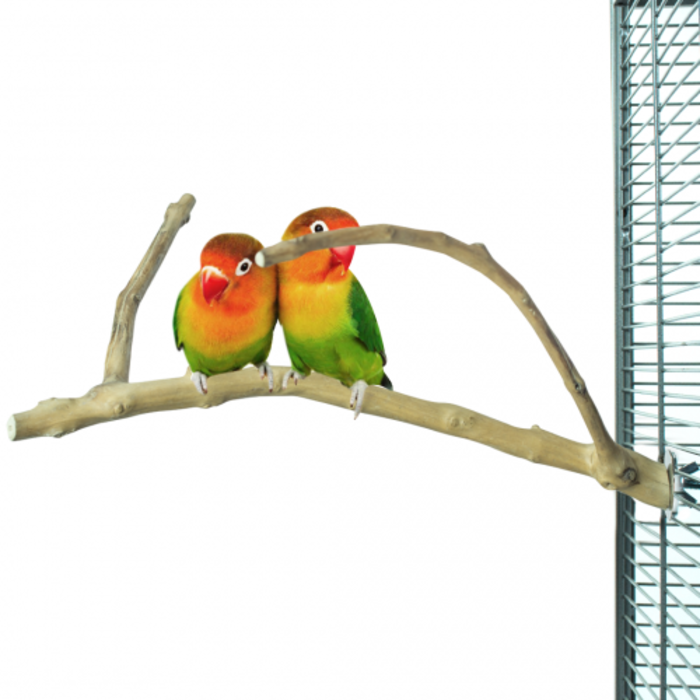 Back Zoo Nature Java Multi Perch