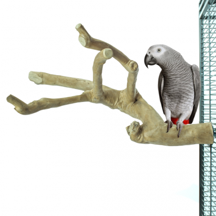 Back Zoo Nature Java Multi Perch