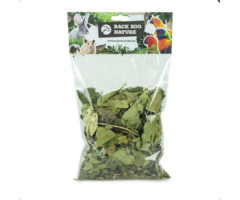 Back Zoo Nature Discovery Leaves Orchard