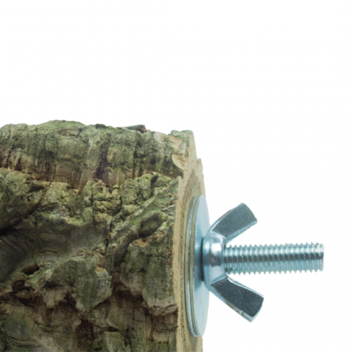 Back Zoo Nature Corky Perch