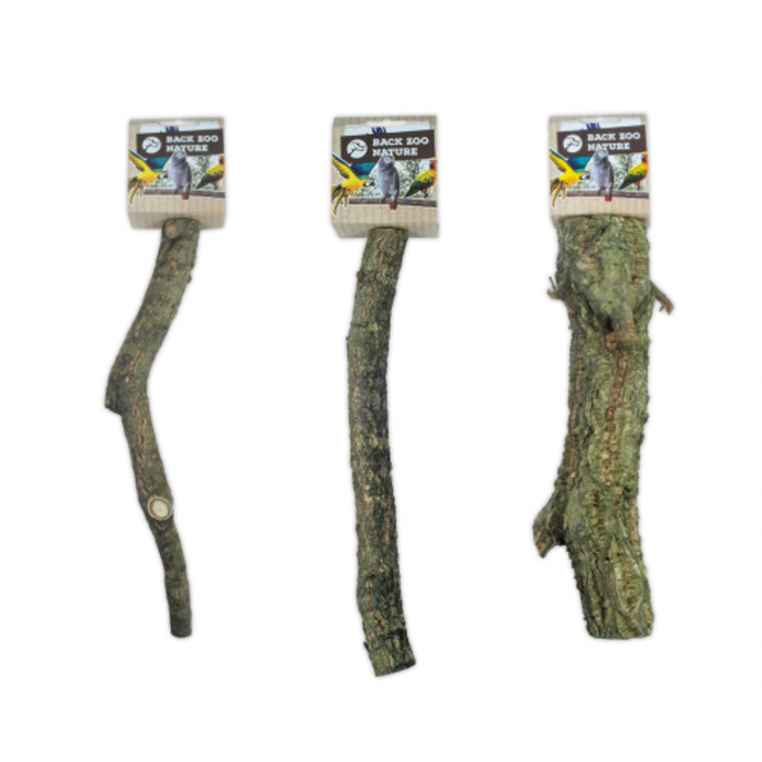Back Zoo Nature Corky Perch