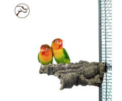 Back Zoo Nature Corky Chew