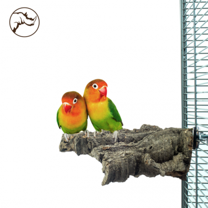 Back Zoo Nature Corky Chew