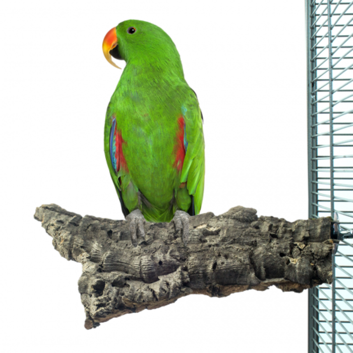 Back Zoo Nature Corky Chew