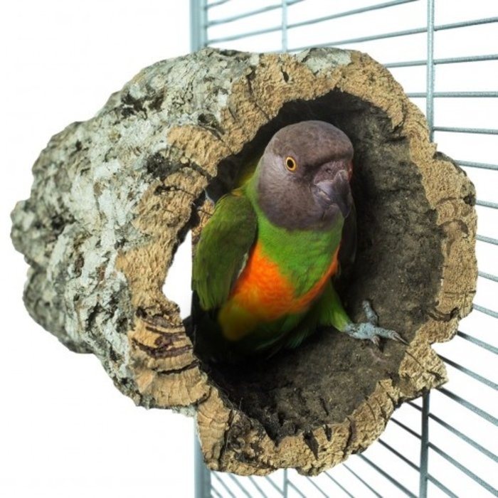 Back Zoo Nature Trunkhut (Kurktunnel)