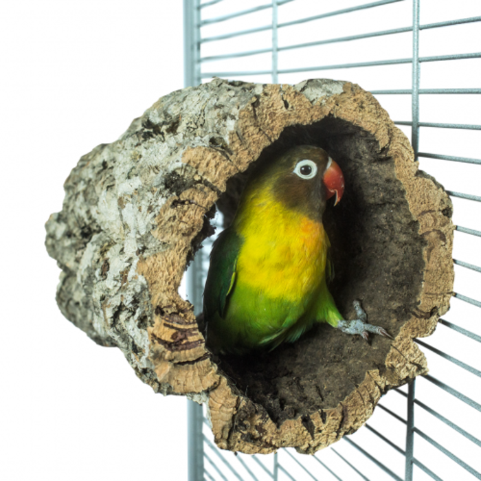 Back Zoo Nature Trunkhut (Kurktunnel)