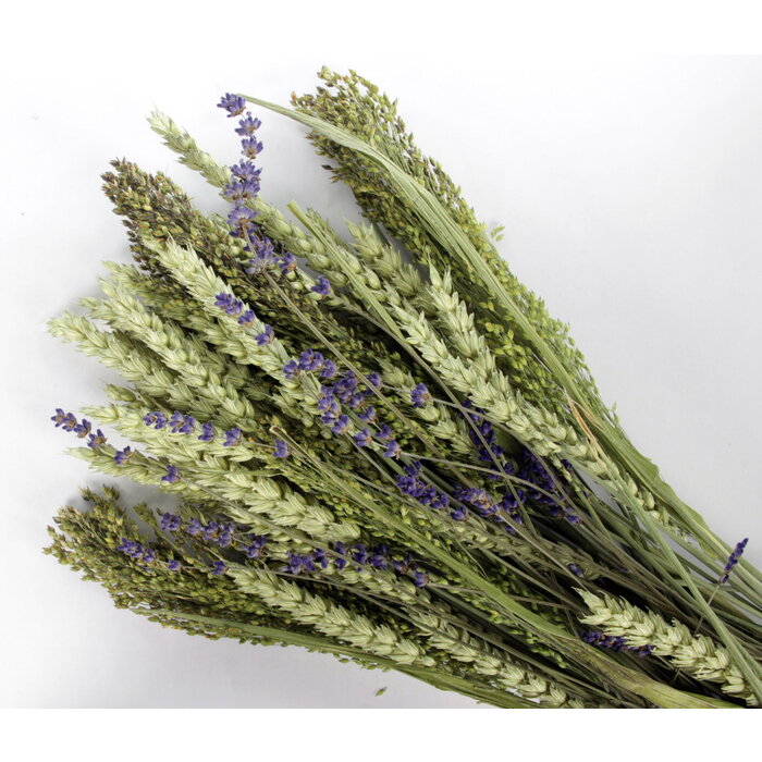 ESVE Pet Bouquet Koker