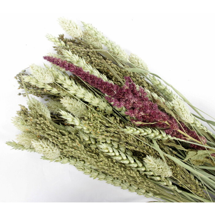 ESVE Pet Bouquet Koker