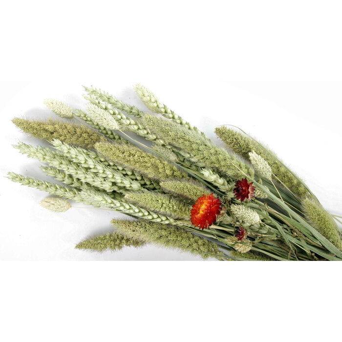 ESVE Pet Bouquet Koker