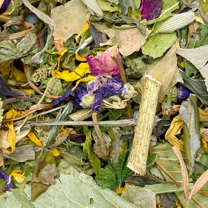 Mixerama Degoe SAB plantenmix (SAB Pflanzenmischung Balanced)