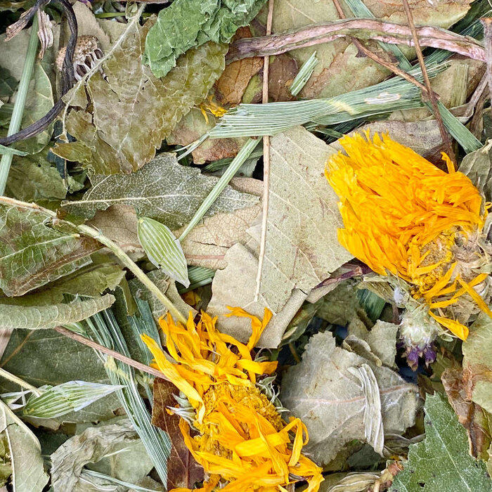 Mixerama Degoe bladeren en bloemen