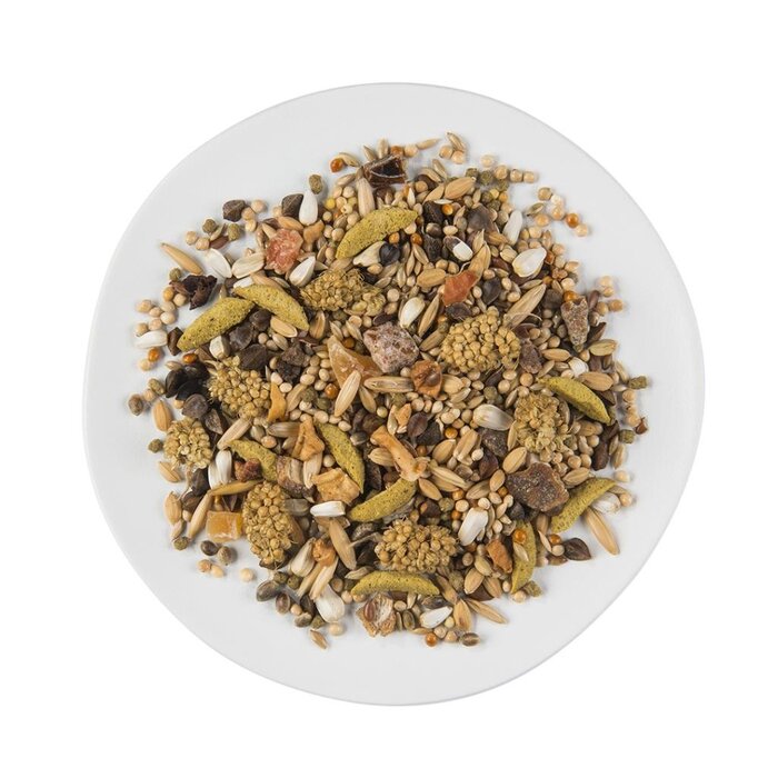 Witte Molen Puur Puur Agapornis