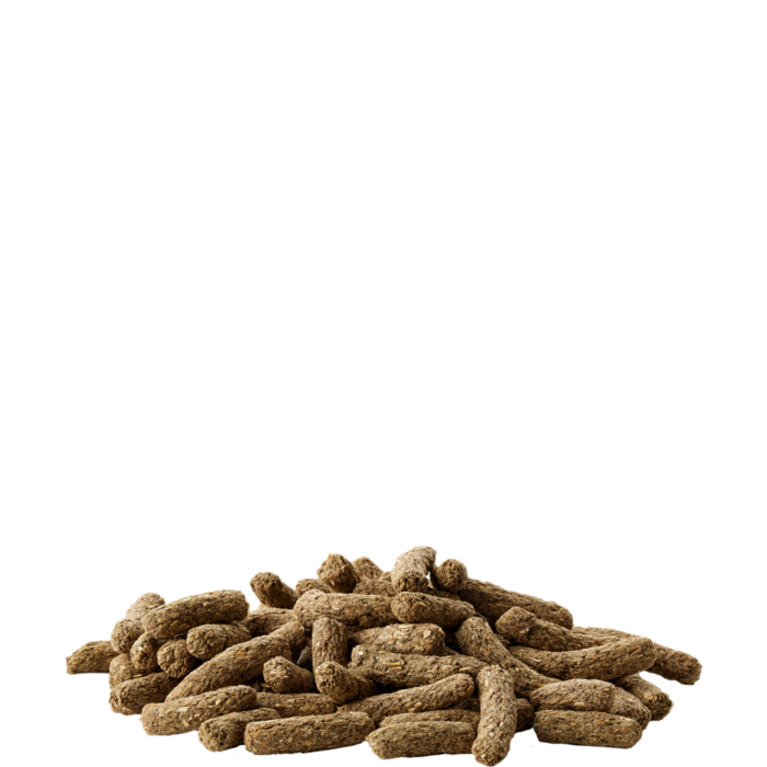 Versele Laga Complete Complete cavia