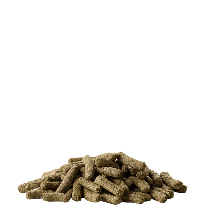 Versele Laga Complete Complete chinchilla & degoe