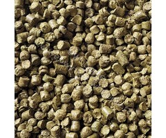 Whoopie Timothy Cubes