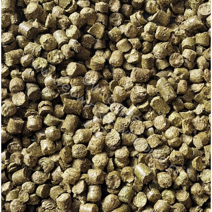 Whoopie Timothy Cubes