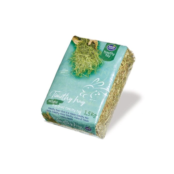 Home Friends Timothy hooi