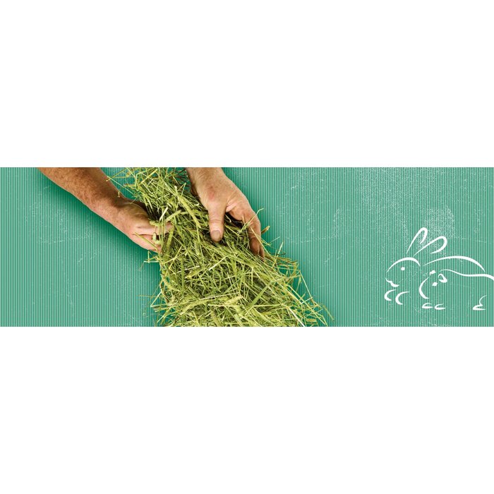 Home Friends Timothy hooi