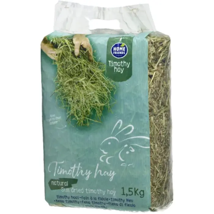 Home Friends Timothy hooi