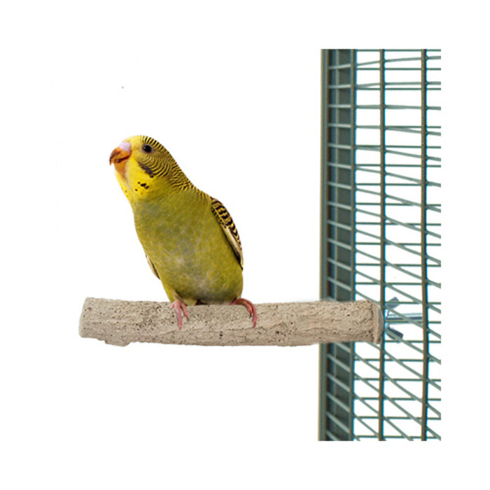 Back Zoo Nature Super Stone Perch