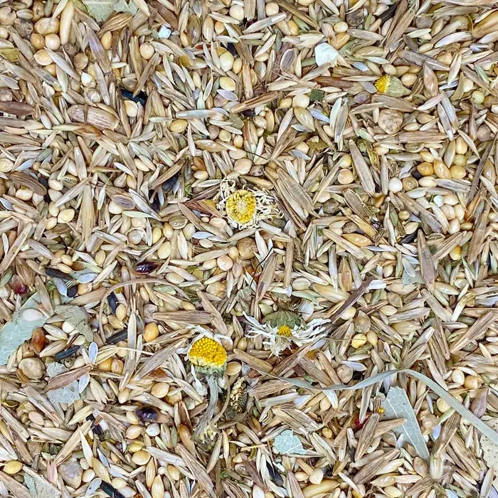 Mixerama Grasparkieten Australië (OP=OP)