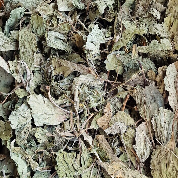 Whoopie Brede weegbree