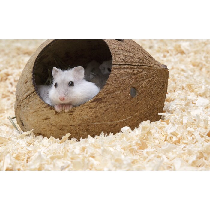 Plospan Classic Houtvezel