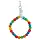 Ring of Beads Multi-Color (OP=OP)