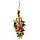 Euphoria Multi-Color (OP=OP)