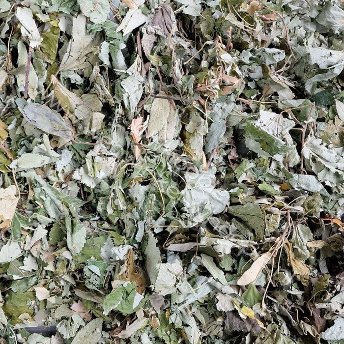 Whoopie Lindebladeren (OP=OP)