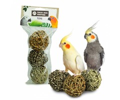 Back Zoo Nature Giant Seagrass Balls