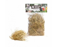 Back Zoo Nature Palm Grass