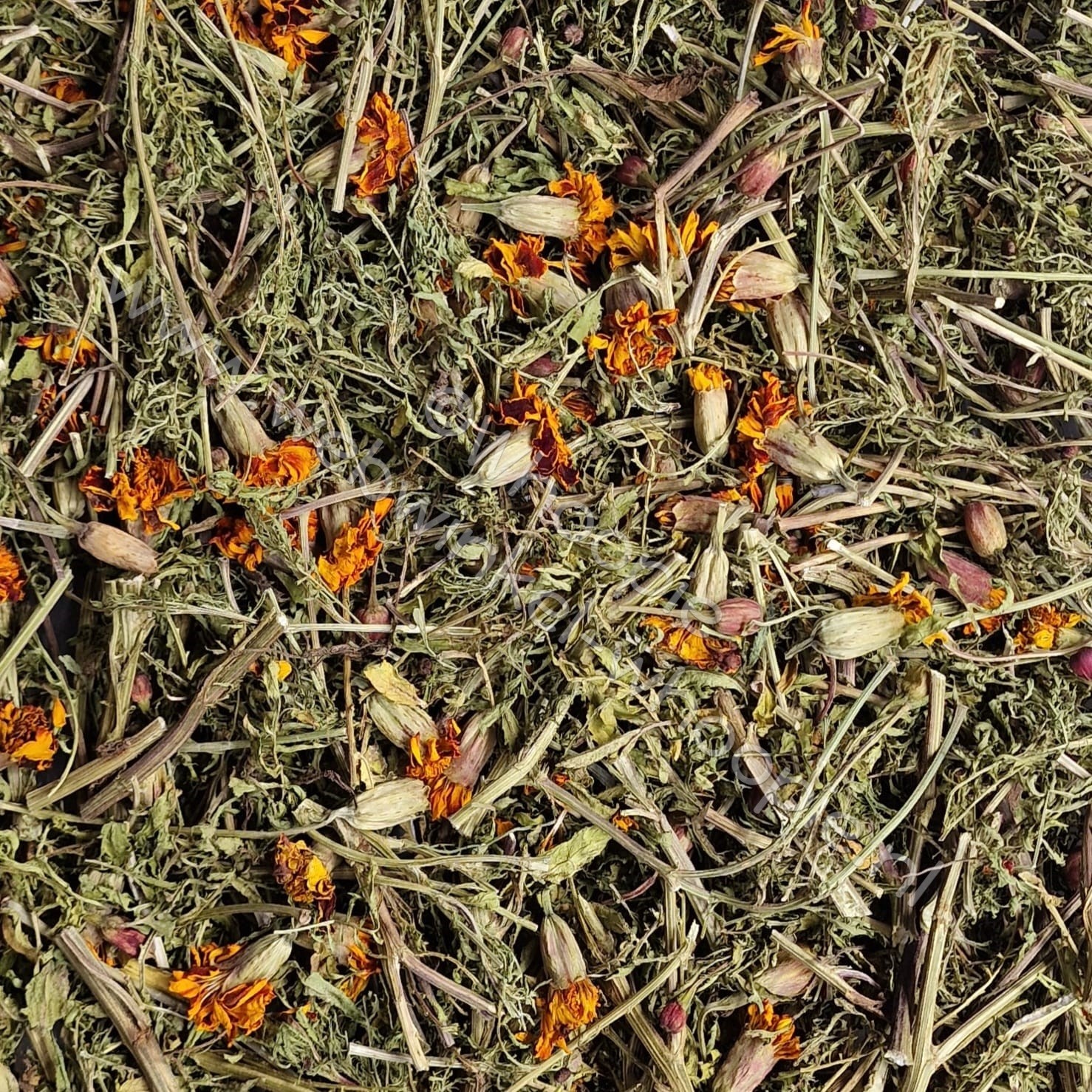 Whoopie Afrikaantje Mix (Tagetes) (OP=OP)