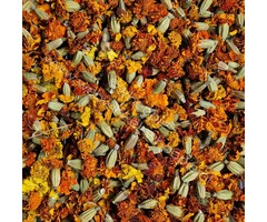 Whoopie Afrikaantje Bloemen (Tagetes)
