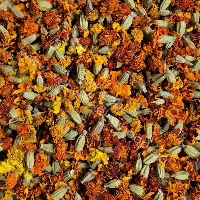 Whoopie Afrikaantje Bloemen (Tagetes)