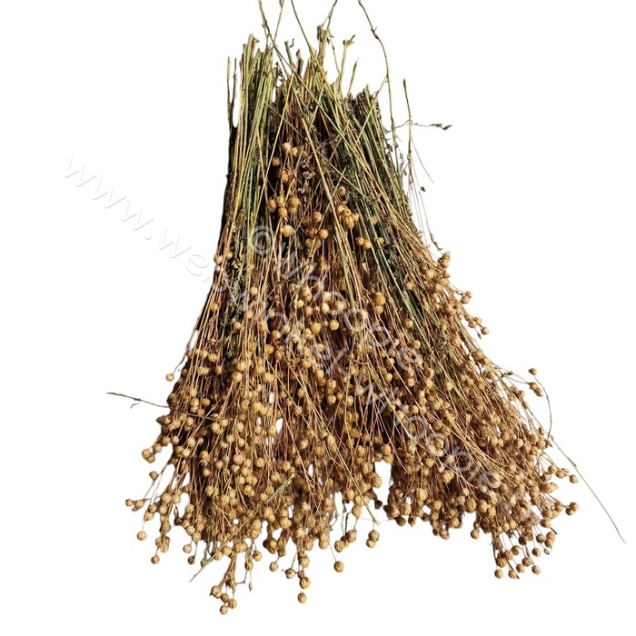 Whoopie Lijnzaadbolletjes (vlas/(flax)